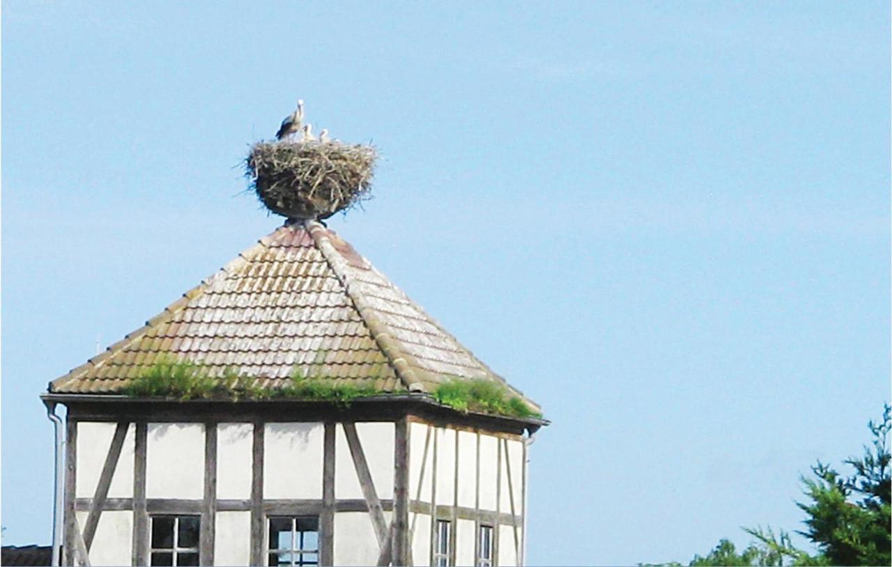 Herrenhaus Luebbenow Extérieur photo